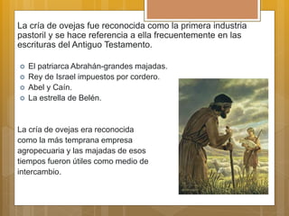 La cría de ovejas fue reconocida como la primera industria
pastoril y se hace referencia a ella frecuentemente en las
escrituras del Antiguo Testamento.
 El patriarca Abrahán-grandes majadas.
 Rey de Israel impuestos por cordero.
 Abel y Caín.
 La estrella de Belén.
La cría de ovejas era reconocida
como la más temprana empresa
agropecuaria y las majadas de esos
tiempos fueron útiles como medio de
intercambio.
 