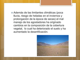  Además de las limitantes climáticas (poca
lluvia, riesgo de heladas en el inviernos y
prolongación de la época de secas) el mal
manejo de los agostadores ha originado
cambios en la composición de la cobertura
vegetal, lo cual ha deteriorado el suelo y ha
aumentado la desertificación.
 
