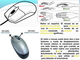 Ratón en español. El mouse es un
periférico de entrada    para interactuar
 con la computadora a través de un
puntero mostrado      en pantalla     en
sistemas GUI (gráficos).

El ratón o mouse suele tener dos o tres
botones, y rueda de desplazamiento.
El mouse clásico (o mecánico) posee
una bola interna, que gira cuando se
desplaza el ratón sobre una superficie
adecuada         (pad o      alfombrilla).
Actualmente ha sido reemplazado por
el mouse óptico, que utiliza un láser
 para detectar el movimiento
 