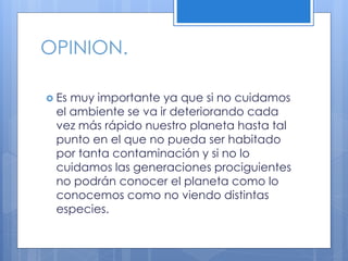 OPINION.
 Es muy importante ya que si no cuidamos
el ambiente se va ir deteriorando cada
vez más rápido nuestro planeta hasta tal
punto en el que no pueda ser habitado
por tanta contaminación y si no lo
cuidamos las generaciones prociguientes
no podrán conocer el planeta como lo
conocemos como no viendo distintas
especies.
 
