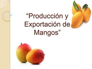“Producción y
Exportación de
  Mangos”
 