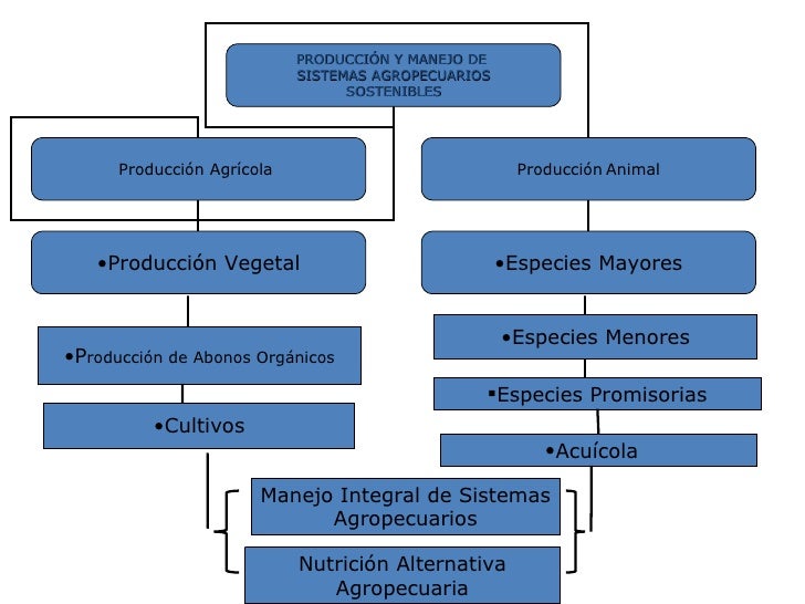 Producción Y Manejo De Sistemas Agropecuarios Sostenibles