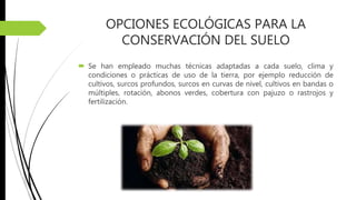 OPCIONES ECOLÓGICAS PARA LA
CONSERVACIÓN DEL SUELO
 Se han empleado muchas técnicas adaptadas a cada suelo, clima y
condiciones o prácticas de uso de la tierra, por ejemplo reducción de
cultivos, surcos profundos, surcos en curvas de nivel, cultivos en bandas o
múltiples, rotación, abonos verdes, cobertura con pajuzo o rastrojos y
fertilización.
 