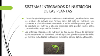 SISTEMAS INTEGRADOS DE NUTRICIÓN
DE LAS PLANTAS
 Los nutrientes de las plantas se encuentran en el suelo, en el estiércol y en
los residuos de cultivos que forman parte del ciclo de nutrición. Los
nutrientes acumulados en el suelo están al alcance de las plantas, pero los
de residuos de cultivos y abonos orgánicos sólo pueden serles útiles
cuando los descomponen las bacterias.
 Los sistemas integrados de nutrición de las plantas tratan de combinar
equilibradamente los nutrientes que el agricultor puede obtener de todas
las fuentes, incluidos los fertilizantes minerales, para su óptima utilización.
 