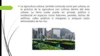  La agricultura urbana, también conocida como peri urbana, es
la práctica de la agricultura con cultivos dentro del área
urbana. La tierra usada puede ser privada, pública o
residencial en espacios como balcones, paredes, techos de
edificios, calles públicas o márgenes y antiguos sotos
deforestados de los ríos.
 