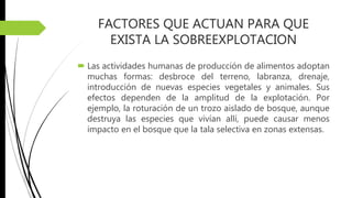 FACTORES QUE ACTUAN PARA QUE
EXISTA LA SOBREEXPLOTACION
 Las actividades humanas de producción de alimentos adoptan
muchas formas: desbroce del terreno, labranza, drenaje,
introducción de nuevas especies vegetales y animales. Sus
efectos dependen de la amplitud de la explotación. Por
ejemplo, la roturación de un trozo aislado de bosque, aunque
destruya las especies que vivían allí, puede causar menos
impacto en el bosque que la tala selectiva en zonas extensas.
 