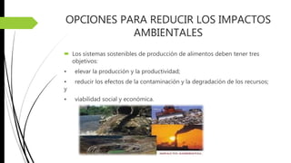 OPCIONES PARA REDUCIR LOS IMPACTOS
AMBIENTALES
 Los sistemas sostenibles de producción de alimentos deben tener tres
objetivos:
• elevar la producción y la productividad;
• reducir los efectos de la contaminación y la degradación de los recursos;
y
• viabilidad social y económica.
 