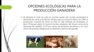 OPCIONES ECOLÓGICAS PARA LA
PRODUCCIÓN GANADERA
 Al elevarse el nivel de vida en muchas partes del mundo aumentará la
demanda de carne y productos lácteos para el consumo diario. En 1994, la
producción mundial de carne se cifró en 184 millones de toneladas, es
decir 33 kg per cápita. En todo el mundo, alrededor del 16 por ciento de la
demanda de cereales, el 20 por ciento de alimentos feculentos y el 3 por
ciento de semillas oleaginosas se destinan a pienso del ganado.
 