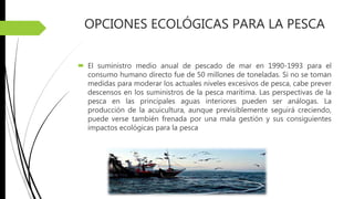 OPCIONES ECOLÓGICAS PARA LA PESCA
 El suministro medio anual de pescado de mar en 1990-1993 para el
consumo humano directo fue de 50 millones de toneladas. Si no se toman
medidas para moderar los actuales niveles excesivos de pesca, cabe prever
descensos en los suministros de la pesca marítima. Las perspectivas de la
pesca en las principales aguas interiores pueden ser análogas. La
producción de la acuicultura, aunque previsiblemente seguirá creciendo,
puede verse también frenada por una mala gestión y sus consiguientes
impactos ecológicas para la pesca
 