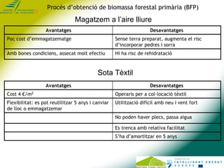 Procés d’obtenció de biomassa forestal primària (BFP)

                                Magatzem a l’aire lliure
          ...