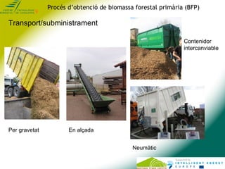 Procés d’obtenció de biomassa forestal primària (BFP)

Transport/subministrament

                                        ...