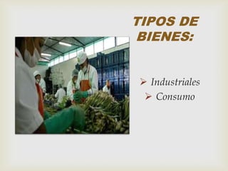 TIPOS DE
BIENES:
 Industriales
 Consumo
 