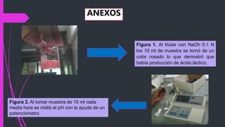 ANEXOS
Figura 1. Al titular con NaOh 0.1 N
los 10 ml de muestra se tornó de un
color rosado lo que demostró que
había producción de ácido láctico.
Figura 2. Al tomar muestra de 10 ml cada
media hora se midió el pH con la ayuda de un
potenciómetro.
 