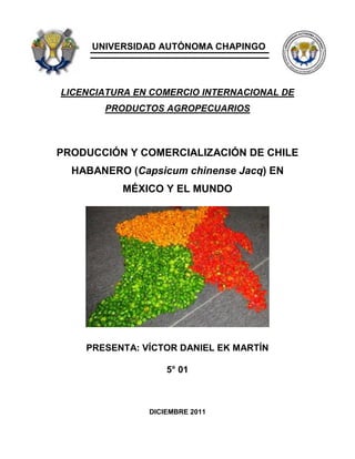 UNIVERSIDAD AUTÓNOMA CHAPINGO
LICENCIATURA EN COMERCIO INTERNACIONAL DE
PRODUCTOS AGROPECUARIOS
PRODUCCIÓN Y COMERCIALIZACIÓN DE CHILE
HABANERO (Capsicum chinense Jacq) EN
MÉXICO Y EL MUNDO
PRESENTA: VÍCTOR DANIEL EK MARTÍN
5° 01
DICIEMBRE 2011
 