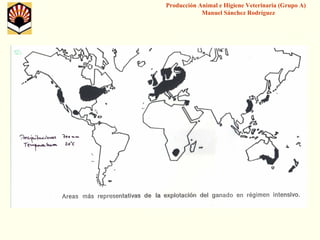 Producción Animal e Higiene Veterinaria (Grupo A) Manuel Sánchez Rodríguez  
