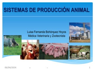 06/04/2024 1
SISTEMAS DE PRODUCCIÓN ANIMAL
Luisa Fernanda Bohórquez Hoyos
Médica Veterinaria y Zootecnista
 