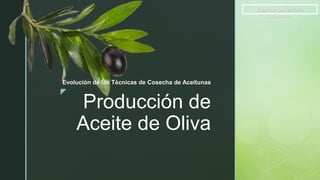 z
Producción de
Aceite de Oliva
Fabrizio Della Polla
DeSimone
Evolución de las Técnicas de Cosecha de Aceitunas
 