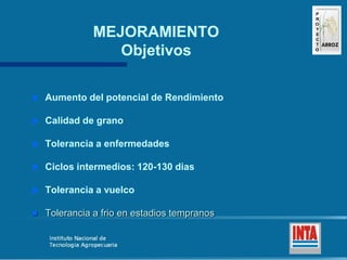 Produccion de arroz Argentina