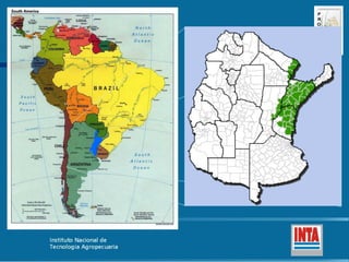 Produccion de arroz Argentina