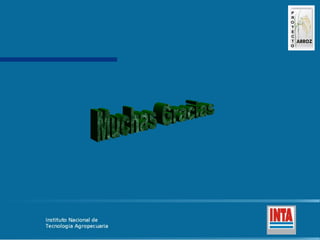 Produccion de arroz Argentina