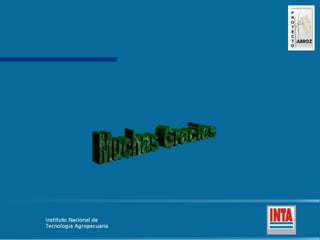 Produccion de arroz Argentina