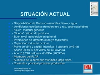 Produccion de arroz Argentina