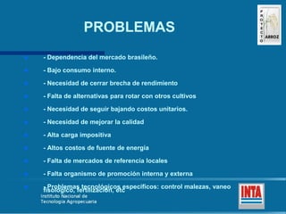 Produccion de arroz Argentina