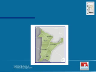 Produccion de arroz Argentina