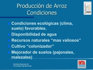 Produccion de arroz Argentina