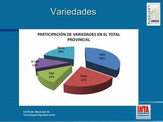 Produccion de arroz Argentina