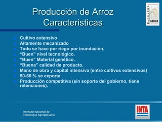 Produccion de arroz Argentina