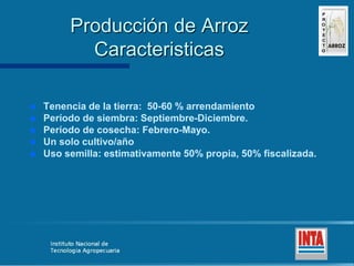 Produccion de arroz Argentina