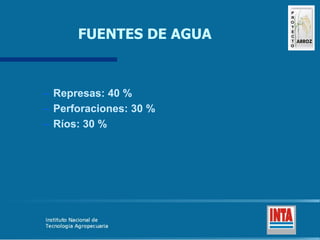 Produccion de arroz Argentina