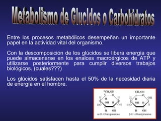 Metabolismo de Glucidos o Carbohidratos Entre los procesos metabólicos desempeñan un importante papel en la actividad vital del organismo. Con la descomposición de los glúcidos se libera energía que puede almacenarse en los enalces macroérgicos de ATP y utilizarse posteriormente para cumplir diversos trabajos biológicos. (cuales???) Los glúcidos satisfacen hasta el 50% de la necesidad diaria de energía en el hombre. 