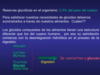 Reservas glucídicas en el organismo:  2-3% del peso del cuerpo   Para satisfacer nuestras necesidades de glucidos debemos suminstrarlos a travez de nuestros alimentos.  Cuales?? Los glúcidos compuestos de los alimentos tienen una estructura diferente que los del cupero humano,  por eso su asimilación comienza con la desintegración hidrolítica en el proceso de la digestión. Almidón Lactosa Maltosa Fructosa Glucosa Galactosa Se convierten a  glucosa Digestión 