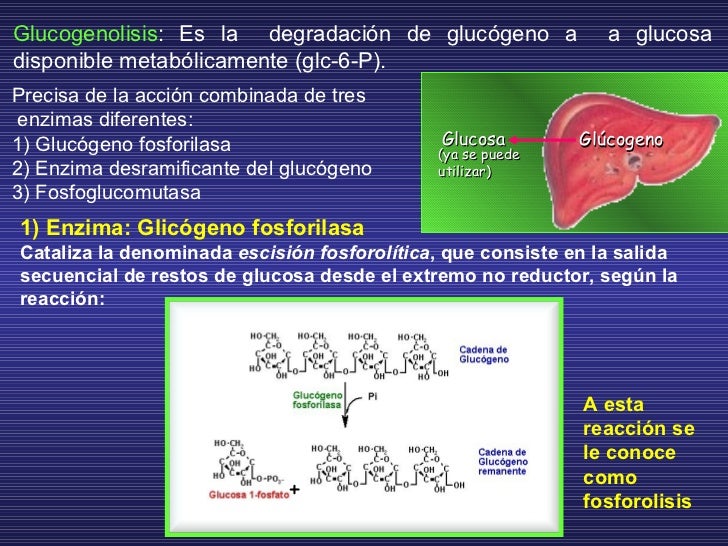 PRODUCCIÓN DE ATP