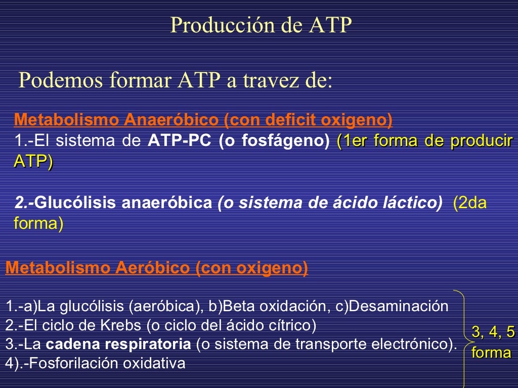 PRODUCCIÓN DE ATP