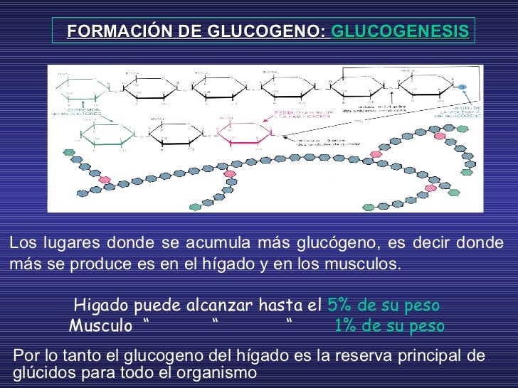 PRODUCCIÓN DE ATP
