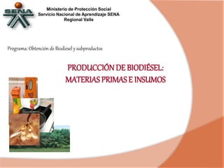PRODUCCIÓN DE BIODIÉSEL:
MATERIAS PRIMAS E INSUMOS
Ministerio de Protección Social
Servicio Nacional de Aprendizaje SENA
Regional Valle
Programa: Obtención de Biodiesel y subproductos
 