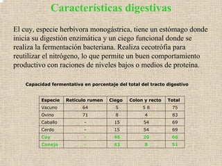 Características digestivas
El cuy, especie herbívora monogástrica, tiene un estómago donde
inicia su digestión enzimática y un ciego funcional donde se
realiza la fermentación bacteriana. Realiza cecotrófia para
reutilizar el nitrógeno, lo que permite un buen comportamiento
productivo con raciones de niveles bajos o medios de proteína.
Capacidad fermentativa en porcentaje del total del tracto digestivo
Especie Retículo rumen Ciego Colon y recto Total
Vacuno 64 5 5 8 75
Ovino 71 8 4 83
Caballo - 15 54 69
Cerdo - 15 54 69
Cuy - 46 20 66
Conejo - 43 8 51
 