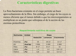 Características digestivas
La flora bacteriana existente en el ciego permite un buen
aprovechamiento de la fibra .Sin embatgo, el ciego de los cuyes es
menos eficiente que el rumen debido a que los microorganismos se
multiplican en un punto que sobrepasa al de la acción de las
enzimas proteolíticas
Requerimiento nutritivo de cuyes
Nutrientes Unidad Etapa
Gestación Lactancia Crecimiento
Proteínas (%) 18 18-22 13-17
ED1 (kcal/kg) 2 800 3 000 2 800
Fibra (%) 8-17 8-17 10
Calcio (%) 1,4 1,4 0,8-1,0
Fósforo (%) 0,8 0,8 0,4 0,7
 