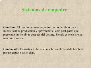 Sistemas de empadre:
Continuo: El macho permanece junto con las hembras para
intensificar su producción y aprovechar el celo post-parto que
presentan las hembras después del destete. Siendo este el sistema
mas conveniente
Controlado: Consiste en ubicar el macho en el corral de hembras,
por un espacio de 34 días.
 