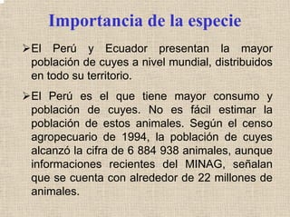 Importancia de la especie
El Perú y Ecuador presentan la mayor
población de cuyes a nivel mundial, distribuidos
en todo su territorio.
El Perú es el que tiene mayor consumo y
población de cuyes. No es fácil estimar la
población de estos animales. Según el censo
agropecuario de 1994, la población de cuyes
alcanzó la cifra de 6 884 938 animales, aunque
informaciones recientes del MINAG, señalan
que se cuenta con alrededor de 22 millones de
animales.
 