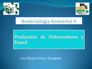 Biotecnología Ambiental II Producción de Hidrocarburos y Etanol Luz Elena Arroyo Zaragoza 