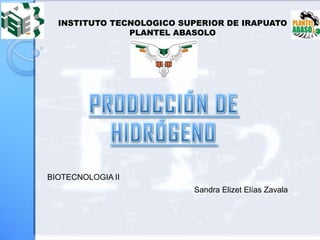 INSTITUTO TECNOLOGICO SUPERIOR DE IRAPUATO PLANTEL ABASOLO PRODUCCIÓN DE HIDRÓGENO BIOTECNOLOGIA II Sandra Elizet Elías Zavala 