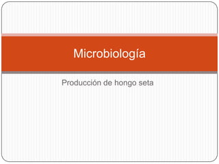 Producción de hongo seta
Microbiología
 