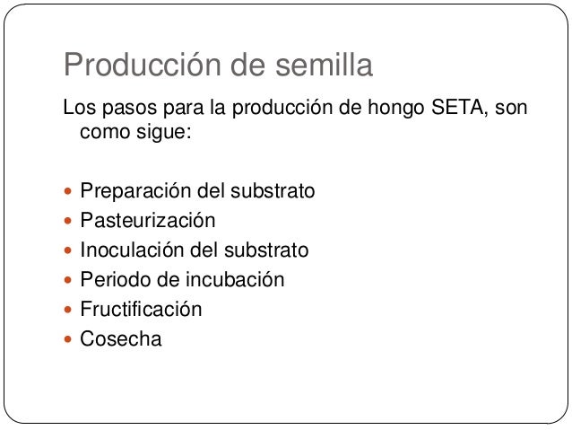 La diagnosis del hongo de las uñas en voronezhe