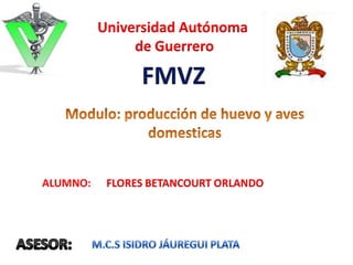 Universidad Autónoma
de Guerrero
FLORES BETANCOURT ORLANDOALUMNO:
 