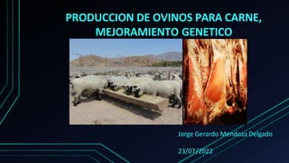 PRODUCCION DE OVINOS PARA CARNE,
MEJORAMIENTO GENETICO
Jorge Gerardo Mendoza Delgado
23/07/2022
 