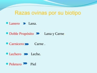 Razas ovinas por su biotipo
Lanero Lana.
Doble Propósito Lana y Carne.
Carnicero Carne .
Lechero Leche.
Peletero Piel
 